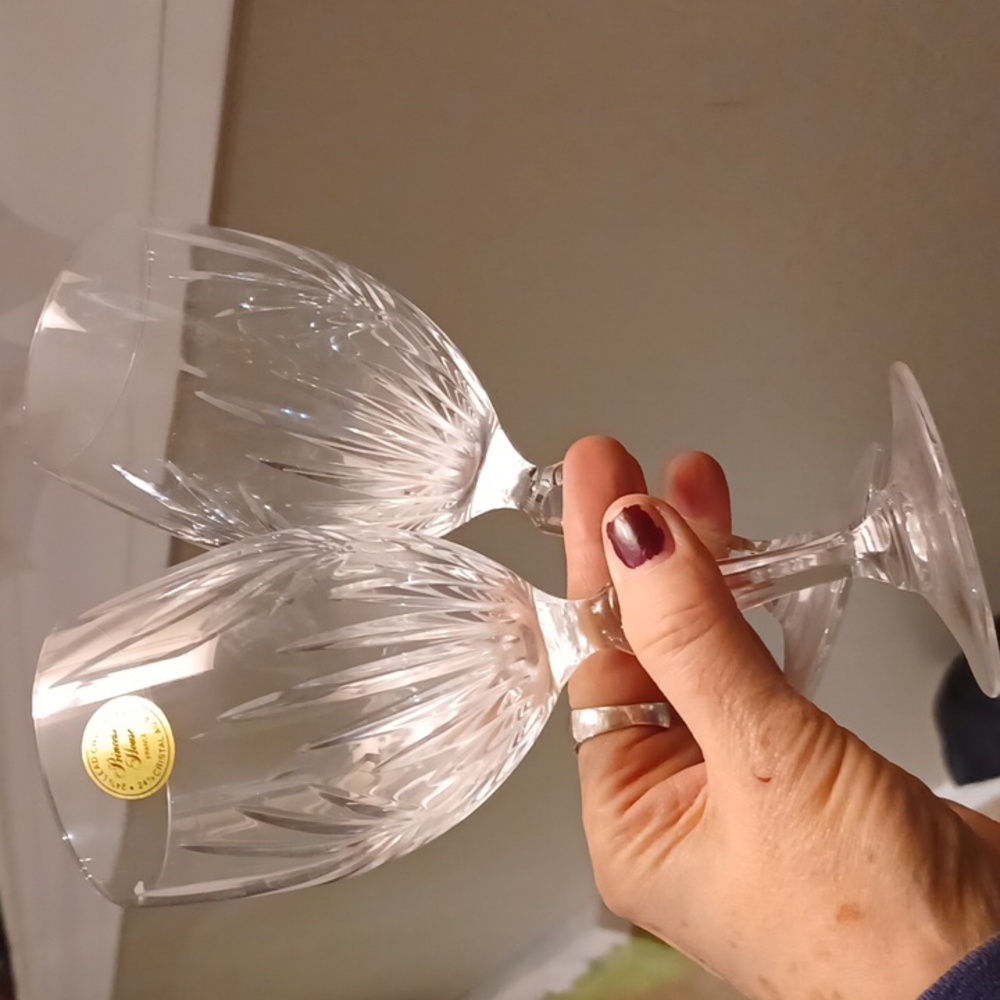Princess House Crystal Highlights Wine Glasses Set of Two